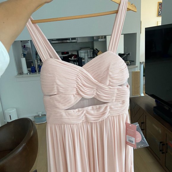 Birdy Grey Elsye Dress Mesh Pale Blush - Picture 3 of 4